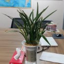 일품행정사 이미지