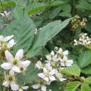 원당슈퍼 이미지