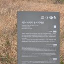 칠절리 | [관람] 제주도 겨울여행 서귀포 가볼만한곳 용머리해안_ 다녀온 횰이의 솔직한 후기