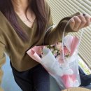 코그노센티