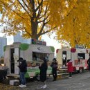 온천천변길 | 아산 가볼만한곳 곡교천 은행나무길 가을단풍 나들이 후기 : 6시 내고향 강혜연 송준근 주차장