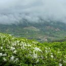 만연산 공중화장실 이미지