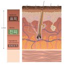 릴리브의원 이미지