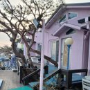 바다 풍월 펜션 | 강화도펜션 추천! 바다풍월펜션 솔직 후기 🌊