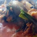 목도민물고기 이미지