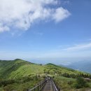 샘터라이브 | 소백산 철쭉 초보 등산 코스 삼가 탐방 지원센터에서 천동 탐방지원센터 철쭉 산행 2026년 5월