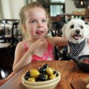 코코파크 이미지