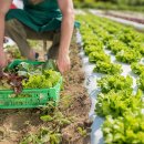 농업회사 토지인 이미지