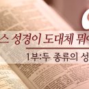 킹제임스 성경이 도대체 뭐야_1부 : 두 종류의 성경 (사무엘 깁) 이미지