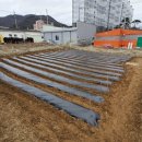 정문농장 이미지