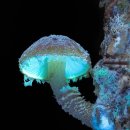 고단보건진료소 이미지