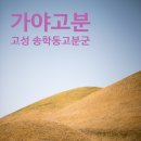문화유산답사 - 소가야의 찬란한 유적, 고성 송학동 고분군 固城 松鶴洞 古墳群