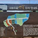 내동마을 티스토리
