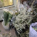 신촌전철역 5번출구 | [신촌 꽃집] 꽃향기 가득한 꽃집 "아이리스 플라워" 꽃다발 후기 (신촌 꽃집 / 이대 꽃집)