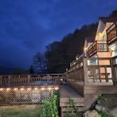 나무그늘의 작은집 작은세상 이미지