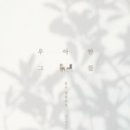 이태야헤어샵