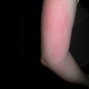 수봉농장 이미지