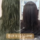 귀빈미용실 | 홍대 미용실 새벽 돼지털에서 찰랑거리는 클리닉후기