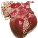 이촌사랑약국 이미지