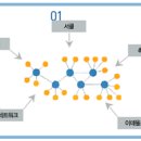 불가사리와 거미 ＞ ＞ 리더 없는 조직의 저력(economyplus. 2011년 6월호) 이미지