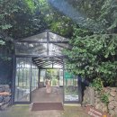 황소목장 | 🐮 사진찍기 좋은 아침미소목장 / 카이막 후기