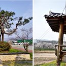 삼기천1 이미지