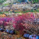 강변마을 앞 이미지