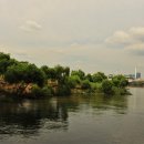 밤섬이야기 이미지