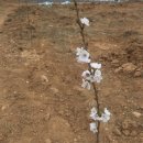 재철농장 이미지