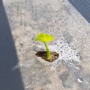 찬기농장 이미지