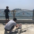 다솜아라민박 이미지