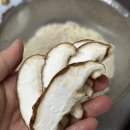 농원축산 | 국내산 무농약 생표고버섯 추천 추풍령농원 못난이표고버섯 활용요리 후기