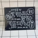 살랑살랑 | 방탈출 키이스케이프 강남점_그카지말라캤자나, 월야애담, 살랑살랑 연구소 후기