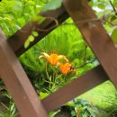 고전읽기 독서회 이미지