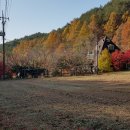 진주 농장 이미지