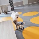 옐레드 문래역점 이미지