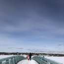 동부환경(주) | ❄️ 캐나다 이민 현실, 뉴브런즈윅 4년 살아보니 솔직 후기(동부 정착)