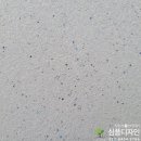 스타페인트 이미지