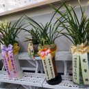 청람중학교 이미지