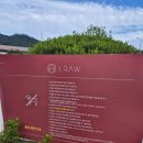 리얼허브애견카페 | [부산카페] 노을뷰 끝판왕✨ 기장 &#39;일로우&#39; 애견카페 다녀온 리얼후기