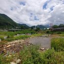 대강오토캠핑장 이미지