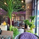 카페 바이올렛 이미지