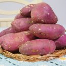 고고PT&WOMEN 이미지