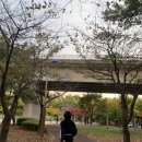 두산이네 애견샵 이미지