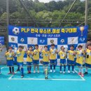 PLP(피엘피) 네이버블로그