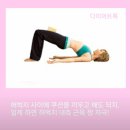 브릿지