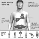 오브느 - 화성시 샘마을1길 35-3 | 오브느