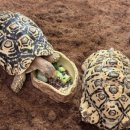 수플레이스 이미지