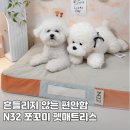 해조하우스 | N32 쪼꼬미 시몬스 펫 매트리스 추천, 강아지 침대 하우스로 취향 저격!