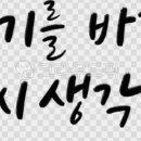 캘리그라피 이미지